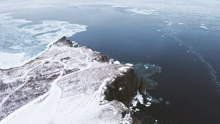 "Eternal Ecosystems: A Cinematic Sojourn through Nature's Timeless Tapestry"