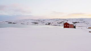 "Infinite Wilderness: A Cinematic Exploration of Earth's Uncharted Beauty"