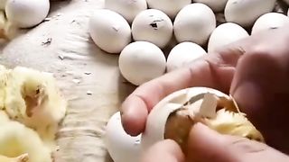 trending_6710977102055517531