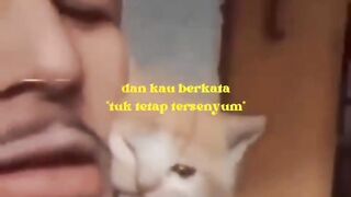 Kumpulan vidio lucu yang ada di internet