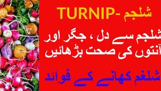 شلجم-  شلغم  کے فوائد   - TURNIP