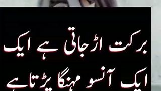 trending_6722414660524551433