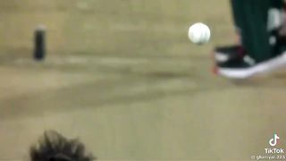 Cricket lover 14