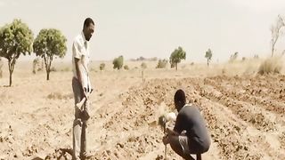 If you want to be a success Never give up on your dreams