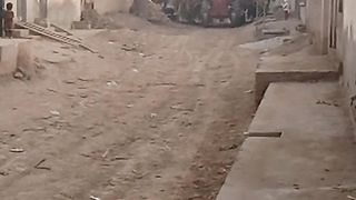 محمود آباد: گلی سے گنے سے لوڈ ٹرالی گزر رہی ہے ۔