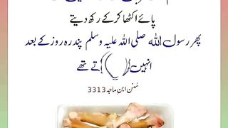 اسلامی معلومات Like share follow 499