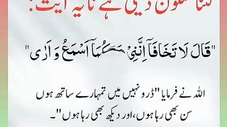اسلامی معلومات Like share follow 501