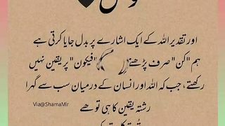 اسلامی معلومات Like share follow 503
