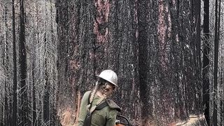 Tree cutting 2