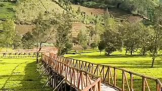 Take a walk to enjoy the beauty of the mountains 2