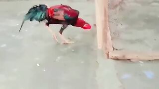 The bright red