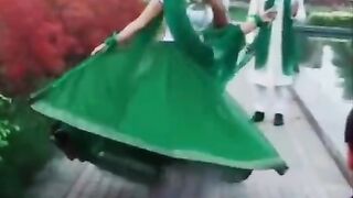 ndependence day video of Pakistan 2019 -- Tiktok videos -- 2019