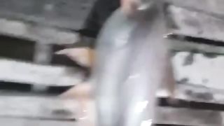 fishing at night again