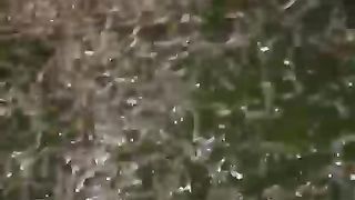 Segmen pendederan, ngurus bibit kecil, perutnya juga kecil, gak terlalu boros pakan, pangsa pasar cukup besar