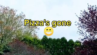 Pizza's flying
