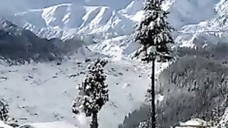 Nanga Parbat View from Fairymeadow #beautyofpakistan #nature #tourism #nature #nature #gilgit