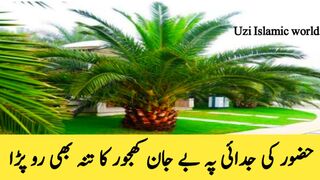 حضور کی جدائی پہ بے جان کھجور کا منہ بھی رو پڑا  #khajor #trending #