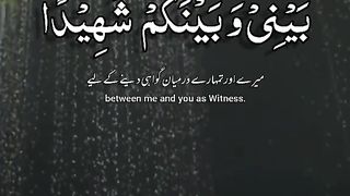 Quran 206