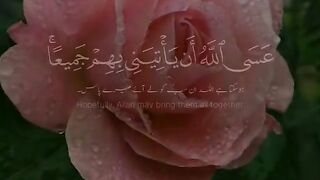 Quran 209