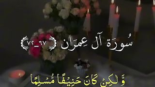 Quran 210