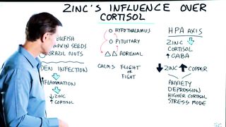 Zinc Can Help Lower Cortisol
