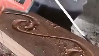 Regardez ce video 1140 2