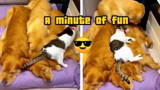 A minute of fun 2