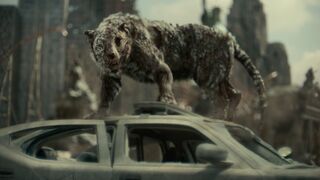 Zack Snyder Army of the Dead 2021 Zombie Tiger Fight