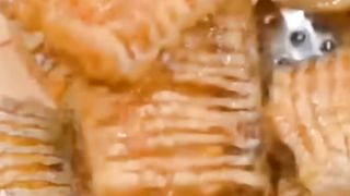 Cara goreng ikan krispy tanpa tepung