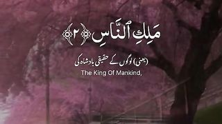 Quran 216