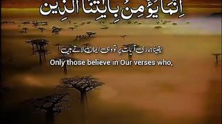 Quran 219