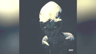 A real interrogation of an alien, an earthling from the future!!!