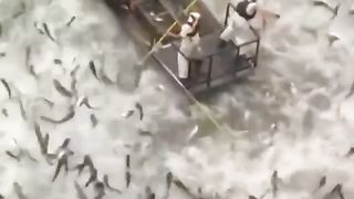 THIS IS FISHING!
