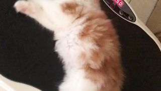 Funny actions 171