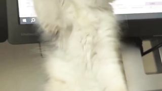 Funny actions 175