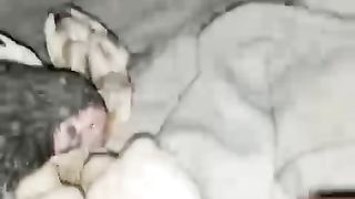 The feeding birds
