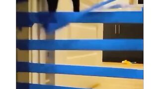 Funy pets video