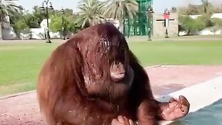 just wash your face haha