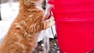 the water is fresh