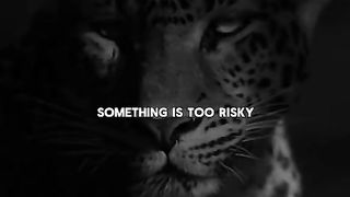 Motivation video 41
