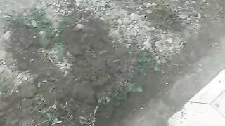 Qarrrr