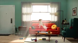 Funny dog animation video