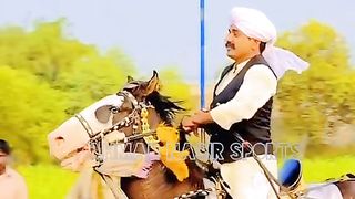 #foryou #Foryoupage #trending #horselover #horse #500k #fyp #1M #impres.4