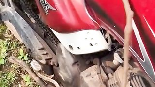 Wow !!!! Ngeri ada ular di jok motor !!!