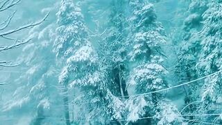 Heavy Snowfall on Bhurban Murree Road