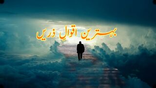 Aqwal e Zareen |  Quotes