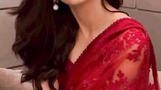 Keep_Calm___Wear_a_Saree.”_♦️__@zubab.rana_♥️__#neptpkofficial__#