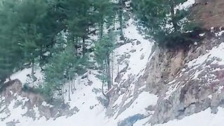 Snowfall Morning Time Galiyat