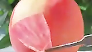 Video views 23