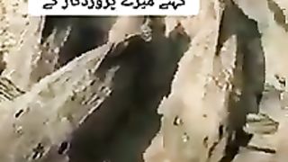 Fish ???????? 2